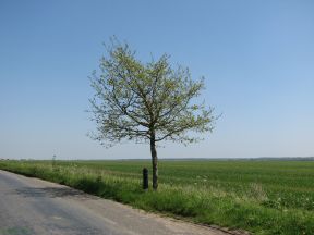 Greenwich Meridian Marker; England; Hertfordshire; Between Buckland & Barkway